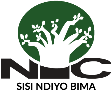 National Insurance Corporation logo