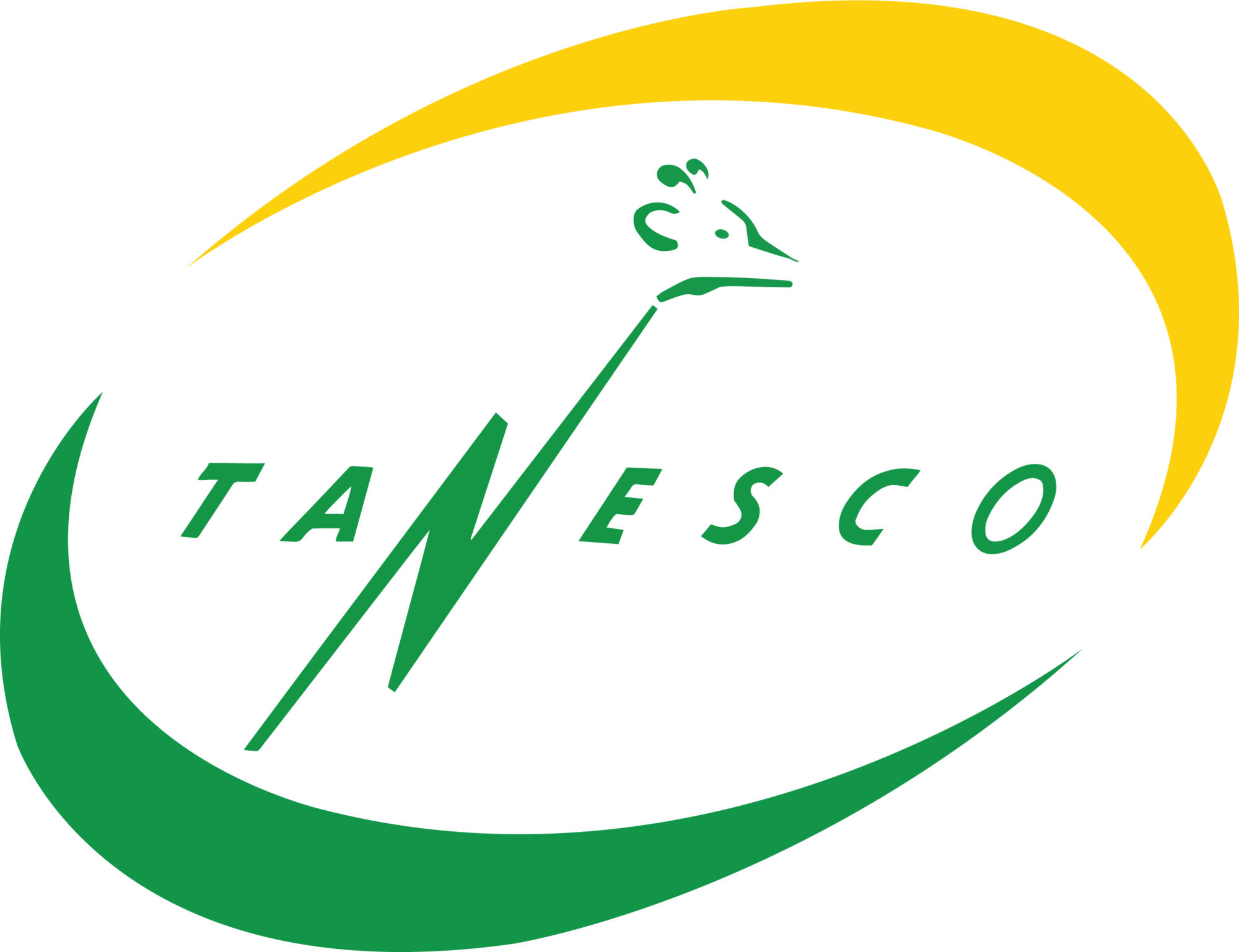 Tanzania Electric Supply Company logo